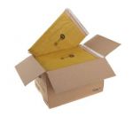Jiffy Padded Mail Bag Size 1 165x280mm Gold PB-1 (Pack of 100) JPB-1