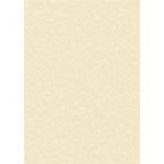 Decadry Parchment A4 Letterhead Paper 95gsm Champagne (Pack of 100) PCL1601