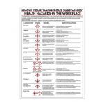 Health Hazards in The Workplace Poster 420x600mm PG23